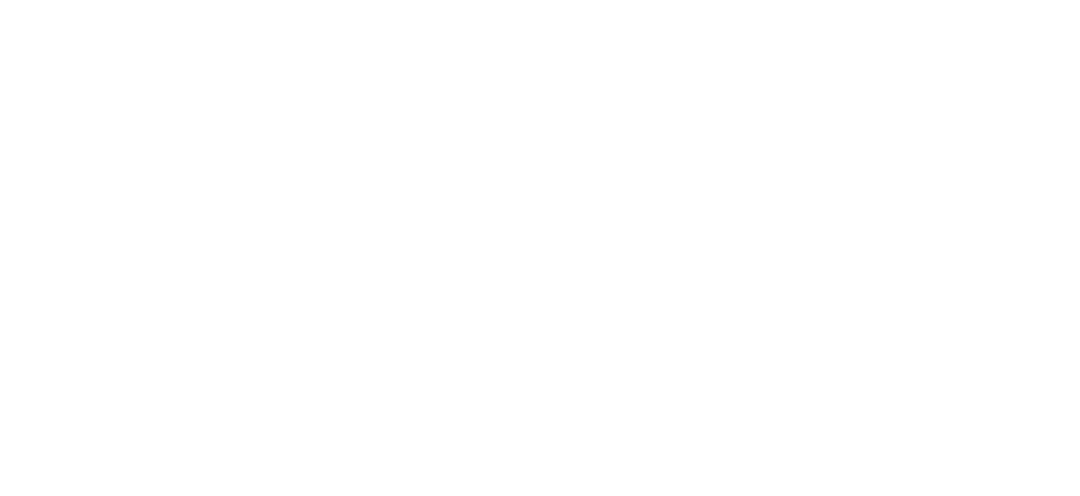 Telkom University